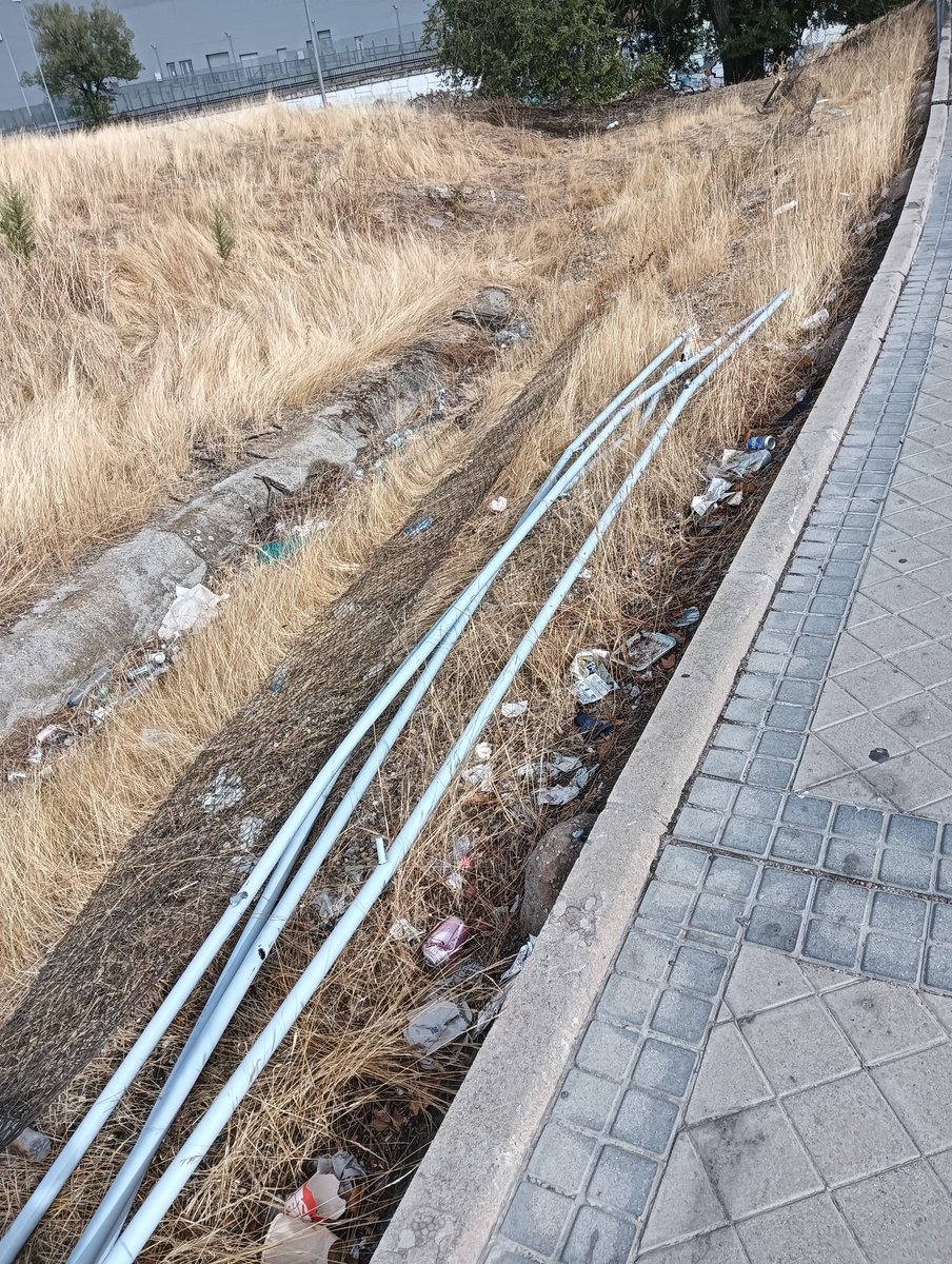 A.V. Fuente Cisneros tweet media