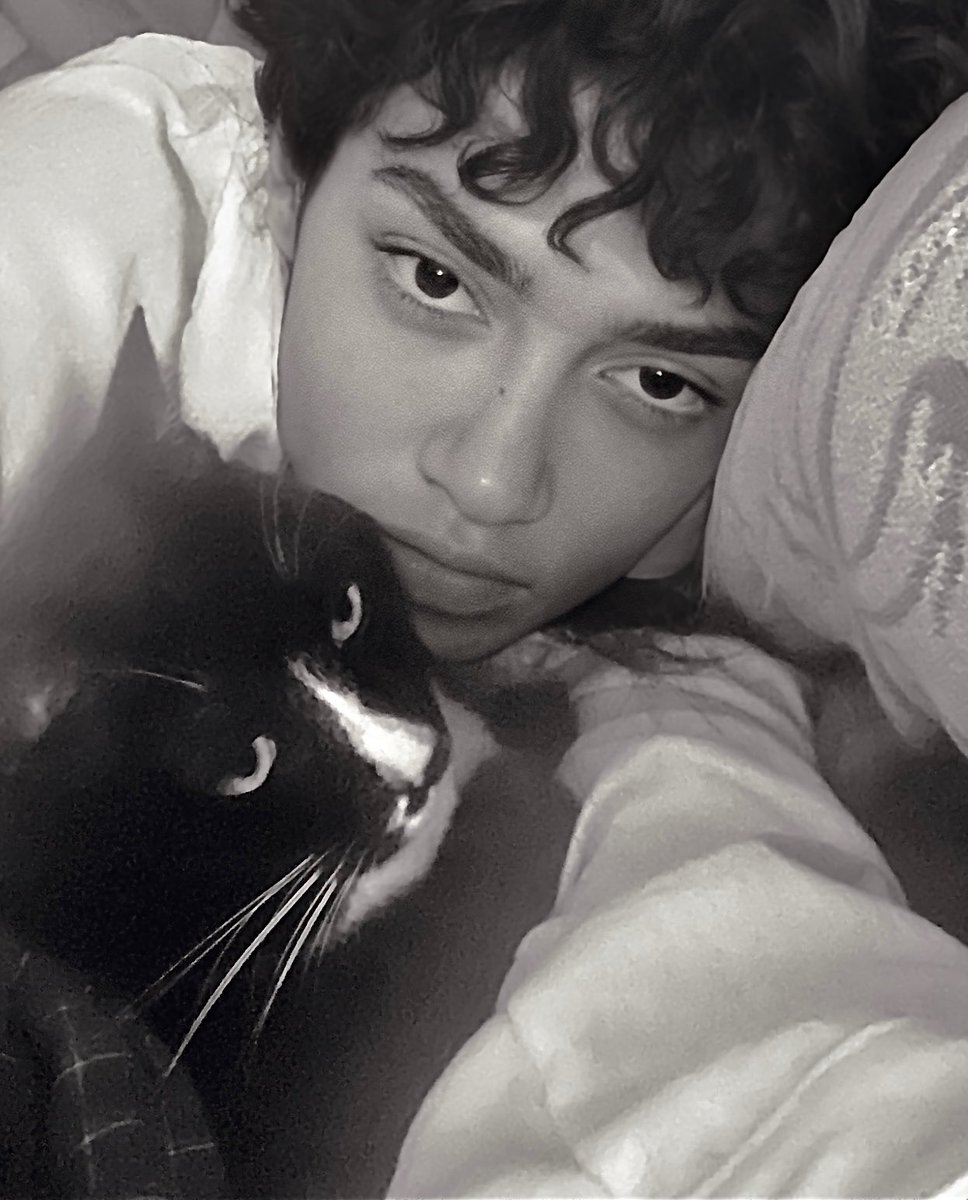 my cat three yrs old today, his name is cat, happy birthday cat