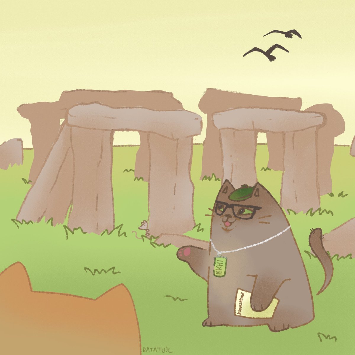 Guess who's back with more #kittenbeach Michi cat tour guide 😼 
Today we're visiting: Boonehenge