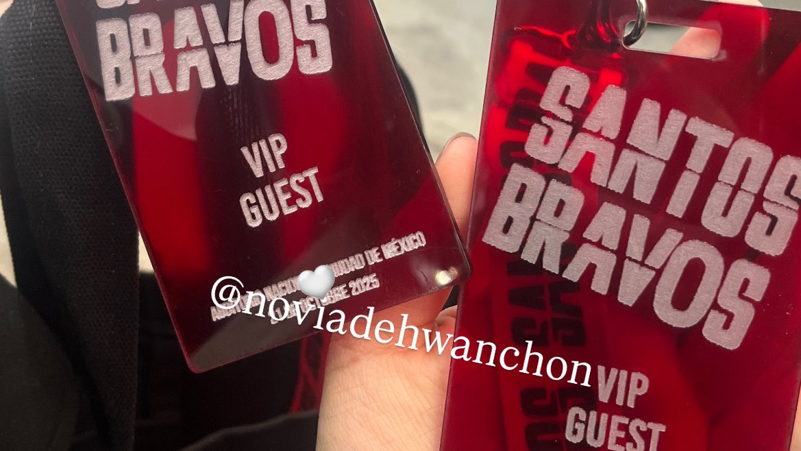thynsstar's tweet photo. De los mejores días de mi vida ❤️
Estuve en la primera sesión brava y también en su primer debut 👏🏻
#SantosBravosDebut #STBVGranFinal https://t.co/eZadVUxnqv