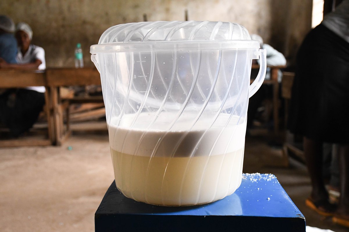 actionlife_Ke's tweet image. Sinambio Cohort 3 dives into making Extra Virgin Coconut Oil in BlueBiz Program!  Youth & women entrepreneurs learn to craft pure, nutrient-rich oil, boosting health & sustainability while creating business opportunities in the Blue Economy. #bluebizprogram #youthempowerment