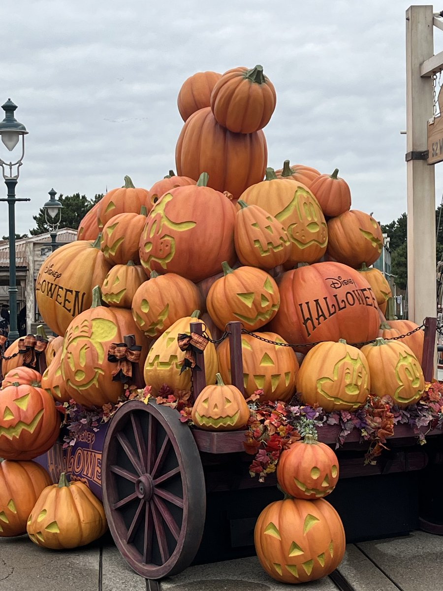 今日はディズニーシーにいます！
11月と12月は仕事が忙しくなり休日出勤が増えるけど頑張れる☺️