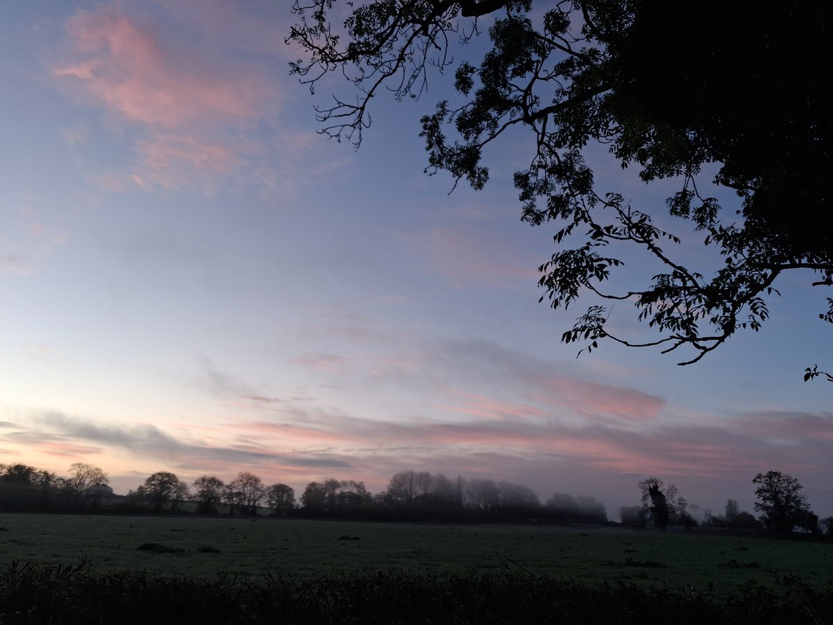 Neans McSweeney tweet media