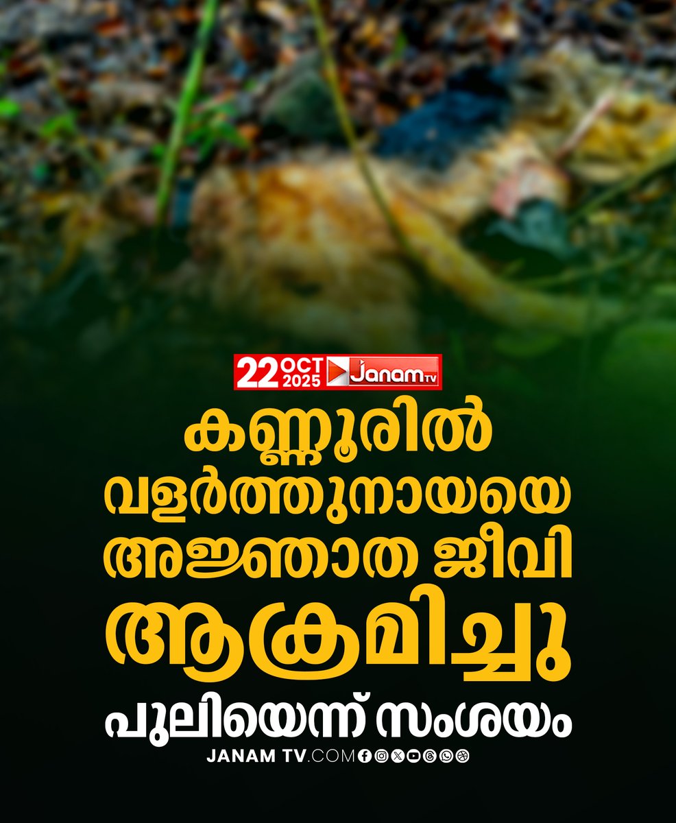 tvjanam's tweet photo. പരിശോധന ആരംഭിച്ച് വനംവകുപ്പ് ഉദ്യോഗസ്ഥർ
#JanamTv #janamonline #kannur #leaopard #dog #attack https://t.co/oK9sZauvF5