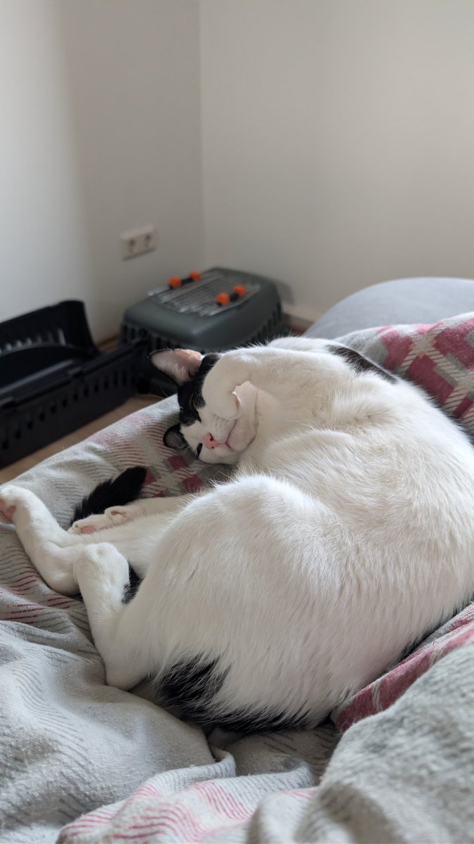 Aufstehen ist doch schwieriger als gedacht 😂