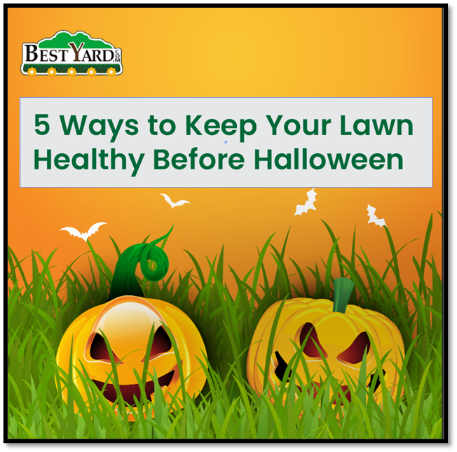 bestyardcom's tweet image. 5 ways to keep your lawn healthy before Halloween. Know more - bestyard.com/infographics/5…
#lawncaretips #halloweenready #healthylawn #bestyard