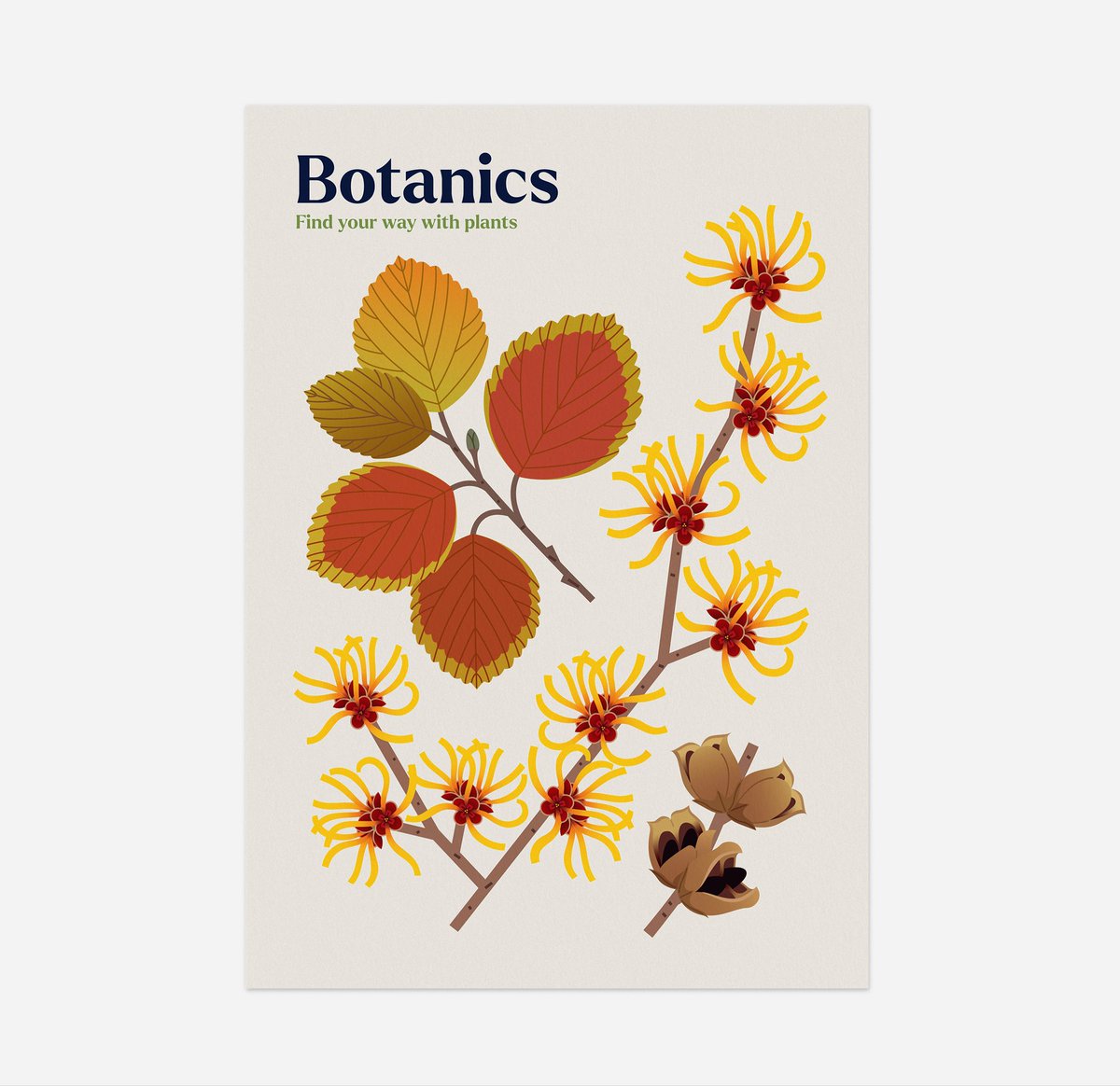 Sarah Abbott tweet media