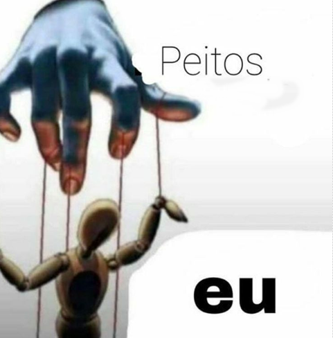 perfil dedicado a gatinhos e peitos tweet media