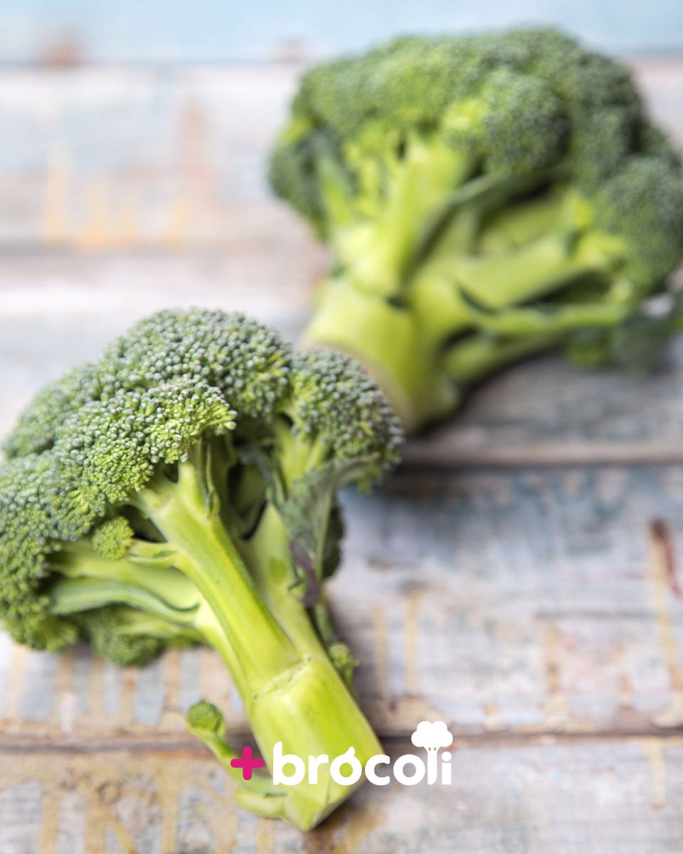 🥦¿Sabías que el brócoli es una verdura con grandes beneficios?

Gracias a su contenido en vitamina C y antioxidantes, contribuye al buen funcionamiento de las defensas y ayuda a proteger las células.