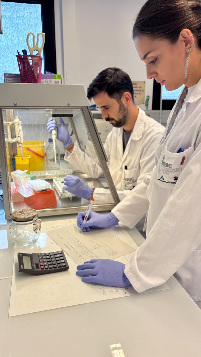IMIBIC's tweet image. 📢 🧪¡Nuevo #avancecientífico!

👩‍🔬👨‍🔬Investigador@s del grupo “Virología Clínica y Zoonosis” del IMIBIC, liderado por el Dr. Antonio Rivero, del @HUReinaSofia  y de la @Univcordoba, confirman que el virus de la hepatitis E de la rata (RVHE) es una causa  emergente de hepatitis…