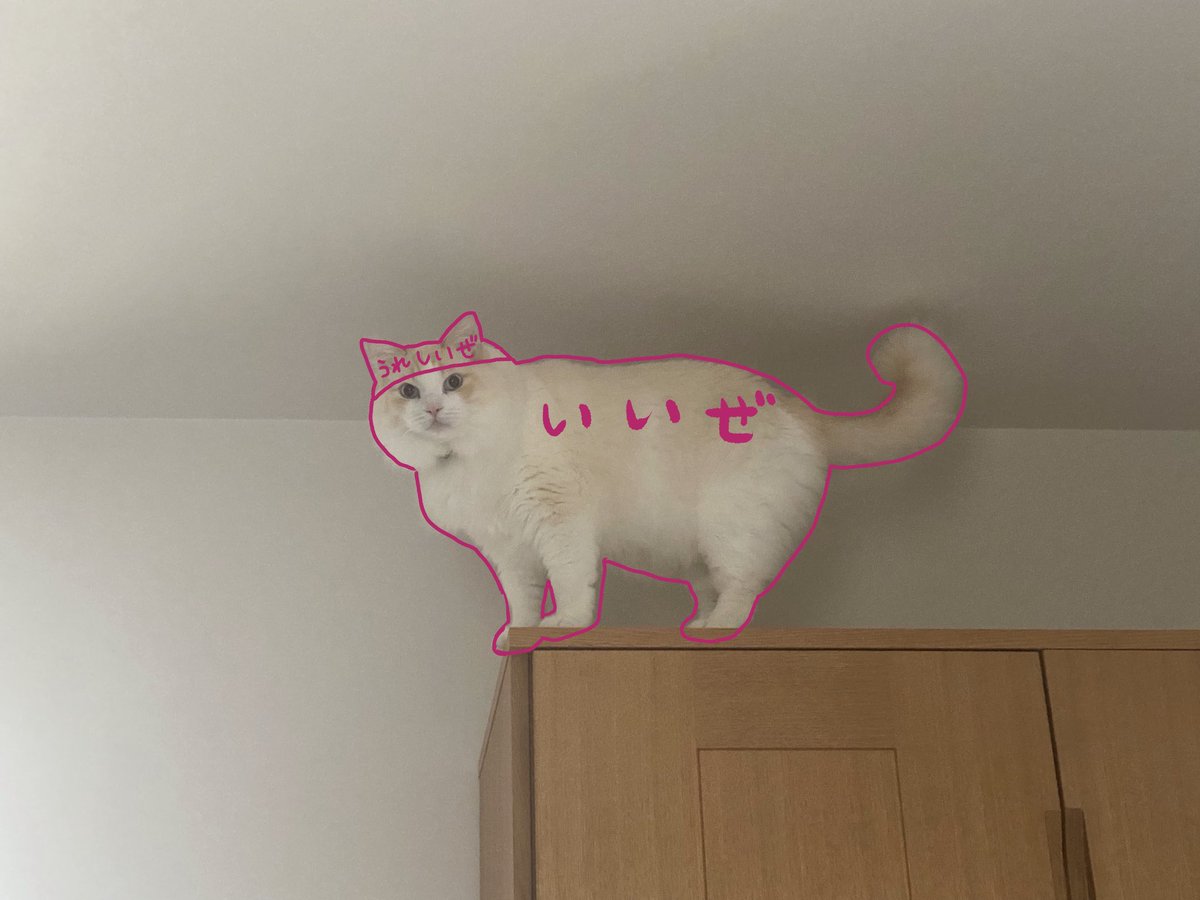 𝙎𝙀𝙍𝙄𝙕𝘼𝙒𝘼 𝘿𝘼𝙔𝙎 (@serizawadays) on Twitter photo 
