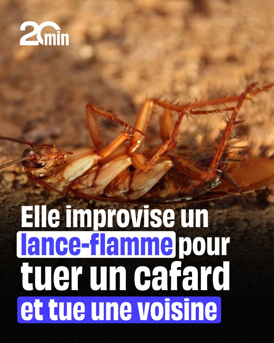 20Minutes's tweet image. Un lance-flammes artisanal aux conséquences tragiques
➡️ 20min.fr/DHk