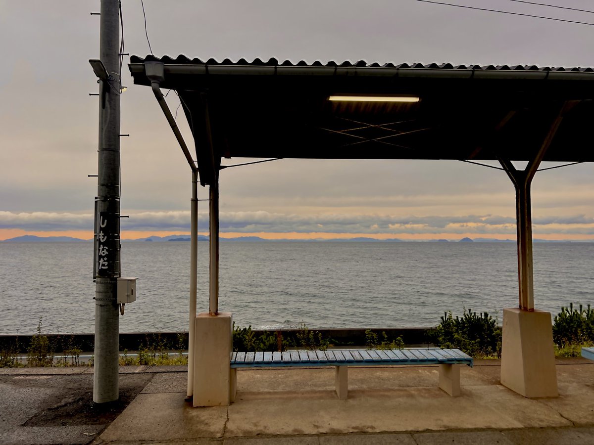 おたまちゃん様 ブルー エコー チャーリー おたまちゃん様 ブルー