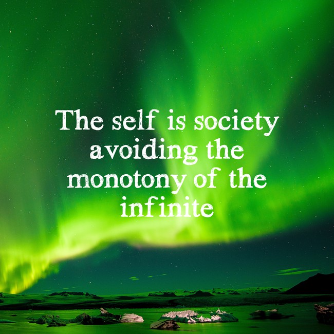 Bertolasio2124's tweet image. I didn&apos;t get hugely famous really quick. It was a slow, gradual process, so I was able to sort of grow into myself and figure out who I was and what I wanted without the glaring spotlight on me telling me who I was.
– Sarah McLachlan