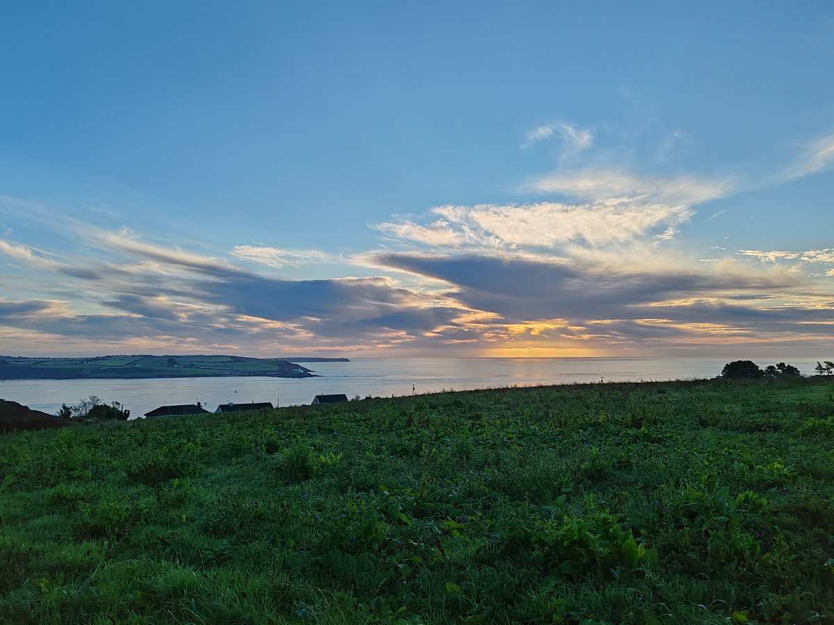 frequencydesign's tweet image. Good morning