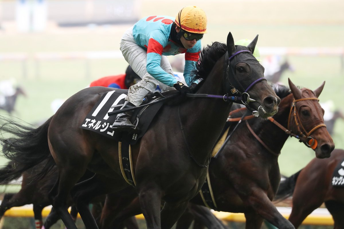 JRA-VAN公式 (@JRAVAN_info) / X