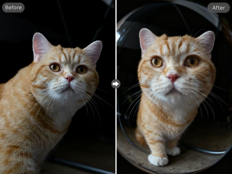 Somake_ai's tweet image. Bend reality. Keep your focus.
The Somake AI Fisheye Filter turns flat photos into dynamic spherical art. Our AI intelligently reshapes your world around a crystal-clear subject.
One click is all it takes. Stand out from the crowd.
Transform your photos:…