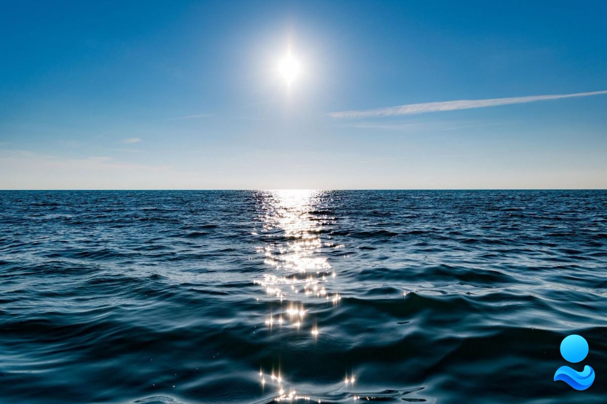 Flothrecore's tweet photo. GM 🌍

Flothre isn’t just another Web3 wave, it’s the current that connects dreamers, builders, and innovators across the decentralized world. 

Every sunrise reminds us that the future isn’t waiting; we’re building it.

#Flothre #Web3 #GM #Builders https://t.co/DqeaM1F5TC
