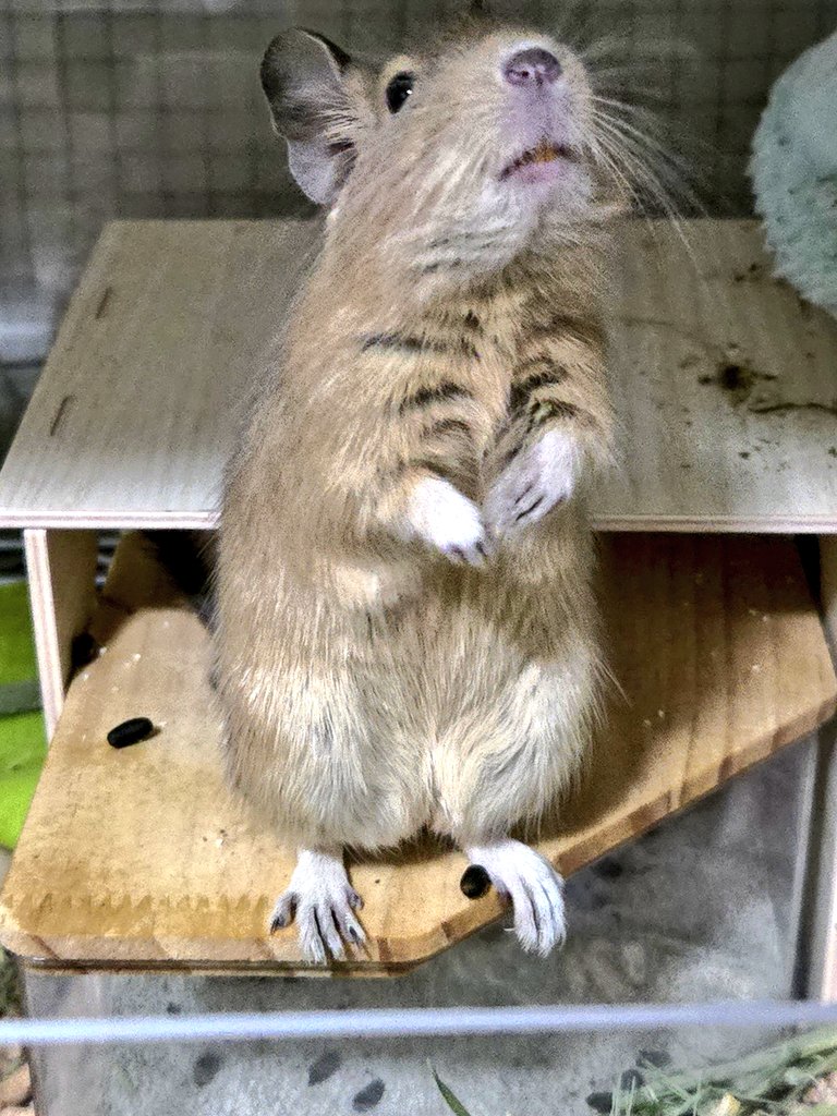 とうとう出れない事に疑問を感じ始めた