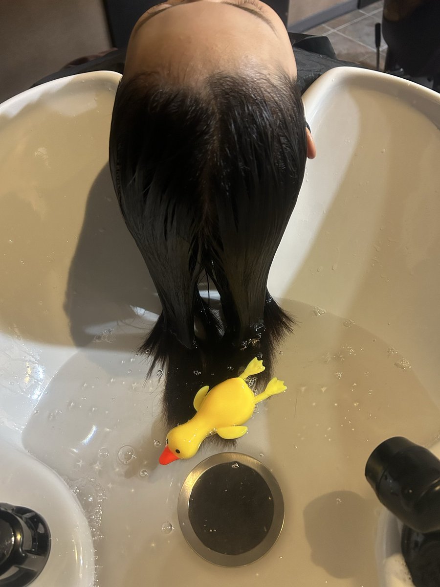0427Hide's tweet photo. 飼い主にもしっかりとアヒルを https://t.co/xFqcFVmEuL