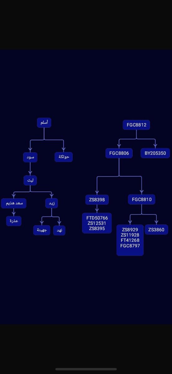 تطابق بطون جهينه الجاهلية 
تاريخيا وجينيا 
من ديارهم التاريخيه 
والبلدان المهاجر اليها 
من اجمل روائع هذا العلم  
متع ناظريك بتطابق قبايل8812 اسلم بن الحاف بن #قضاعه_معد التاريخيه 🌹