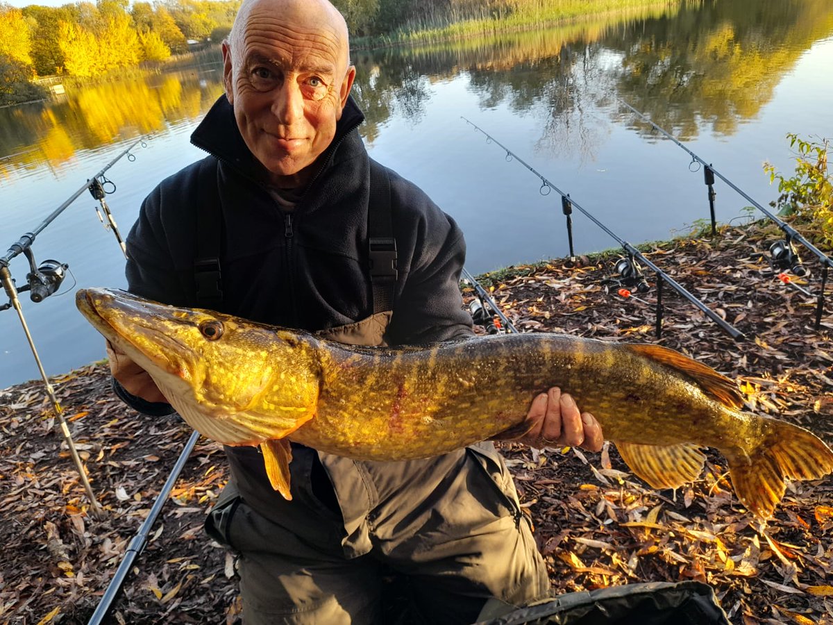 stevem6858's tweet photo. Good start to the day 18lb of pure aggression 
To see the full catch view us on YouTube fishingallseasons coming soon to watch it and more of our catches 👌 https://t.co/XeVvuo03wT