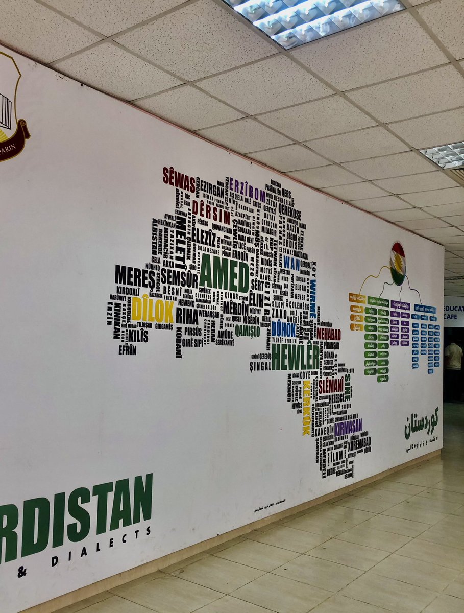 Ali Ammar tweet media