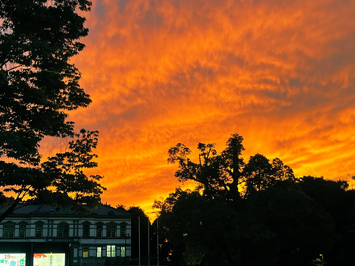 ミステリの表紙みたいな夕焼け。