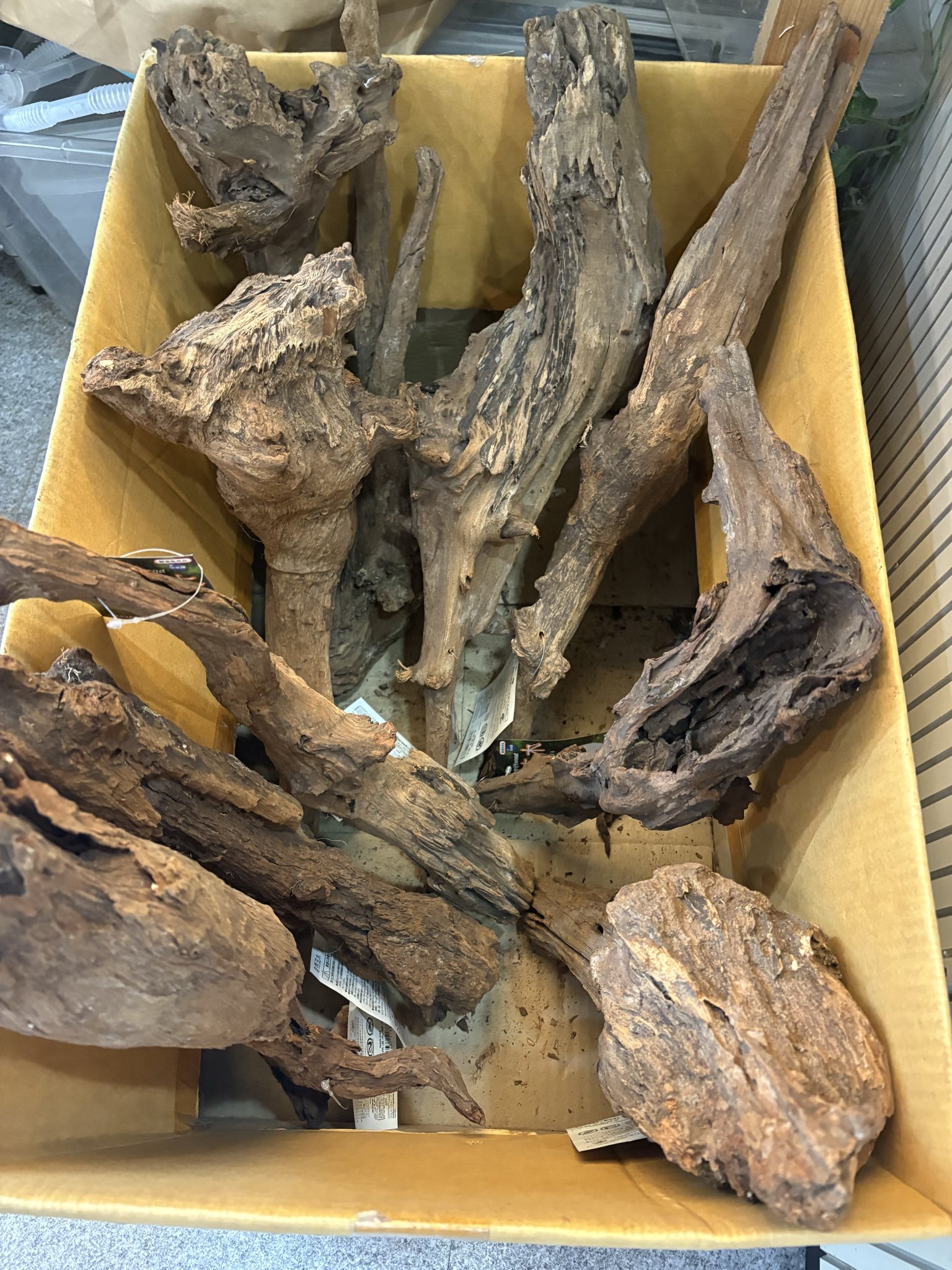 超ドラマティック流木 約60cm 爬虫類・両生類用レイアウト ReptilePlanet【レププラ】 on X: 