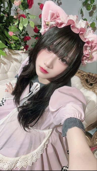 ~メイド喫茶~曖昧Aliceのツイート