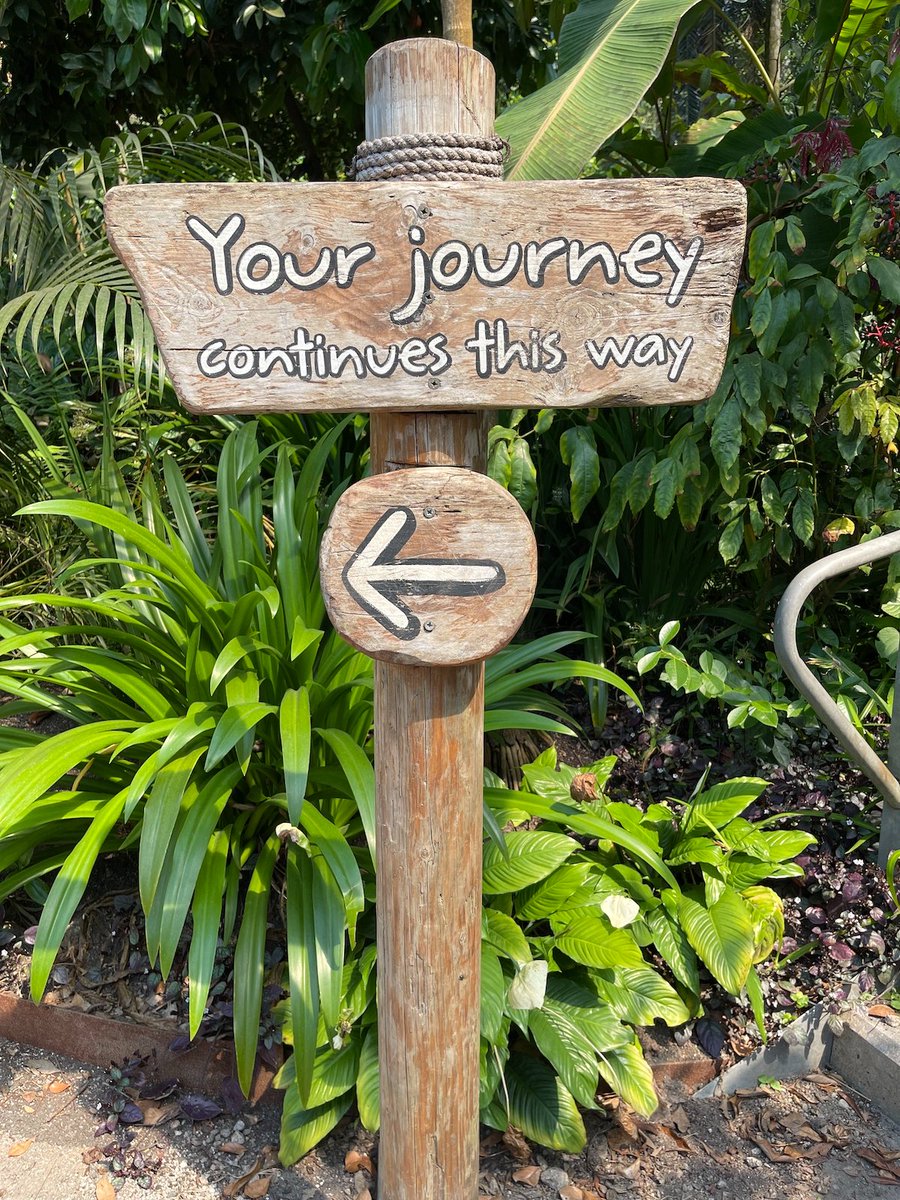 JackdawEco's tweet photo. it's all too easy to fall into the trap of looking at what others are doing and as soon as we do that we're pulled out of our core https://t.co/Q3gtGlDxFC