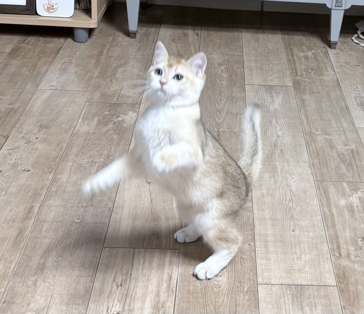 공룡;;;;;;