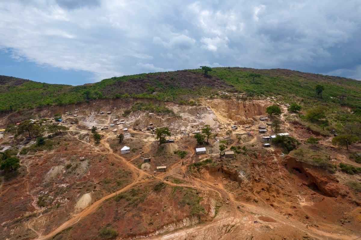 Arusha society for the protection of animals tweet media