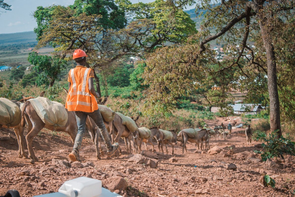 Arusha society for the protection of animals tweet media