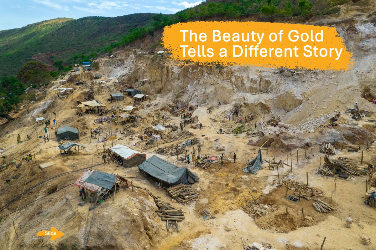 Arusha society for the protection of animals tweet media