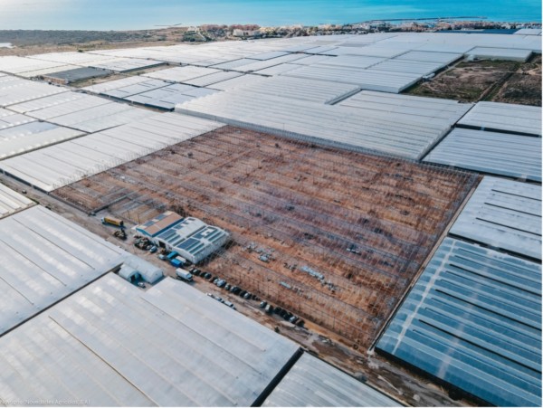 Hoy te contamos que <a href="/Novagric/">Novagric</a> propone un #invernadero de 11,5 metros de altura

<a href="/Novagric/">Novagric</a> y #Agrolíder impulsan una nueva era de #invernaderos 'high tech' con alturas de más de 11 metros y anchos de 14 metros.

fyh.es/novagric-propo…

#frutas #hortalizas 🔝🔝🔝🔝🔝🔝🔝🔝🔝🔝🔝