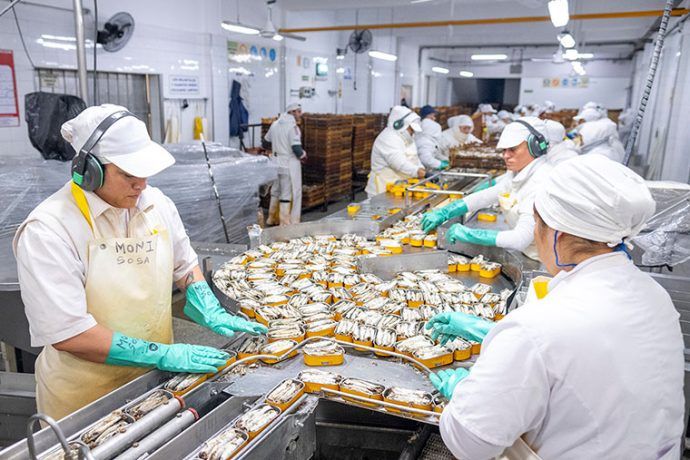 Las subexplotadas pelágicas | revistapuerto.com.ar/2025/10/las-su…