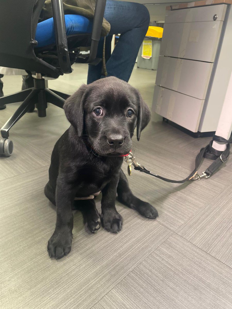 Irene Azcutia tweet media