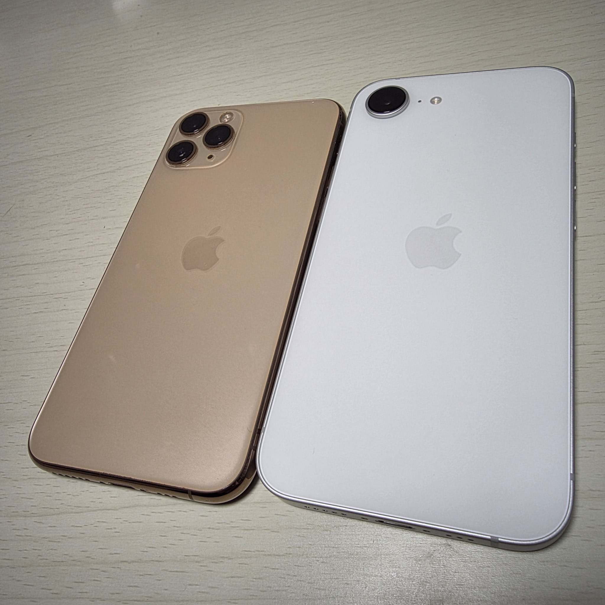 美咲天馬 天馬 on X: 