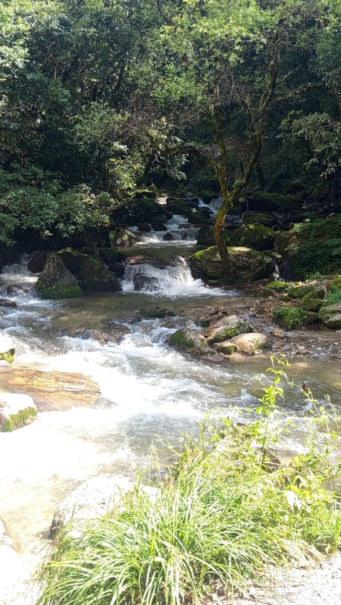 Dikardev Bhatt (@dikardev) on Twitter photo 