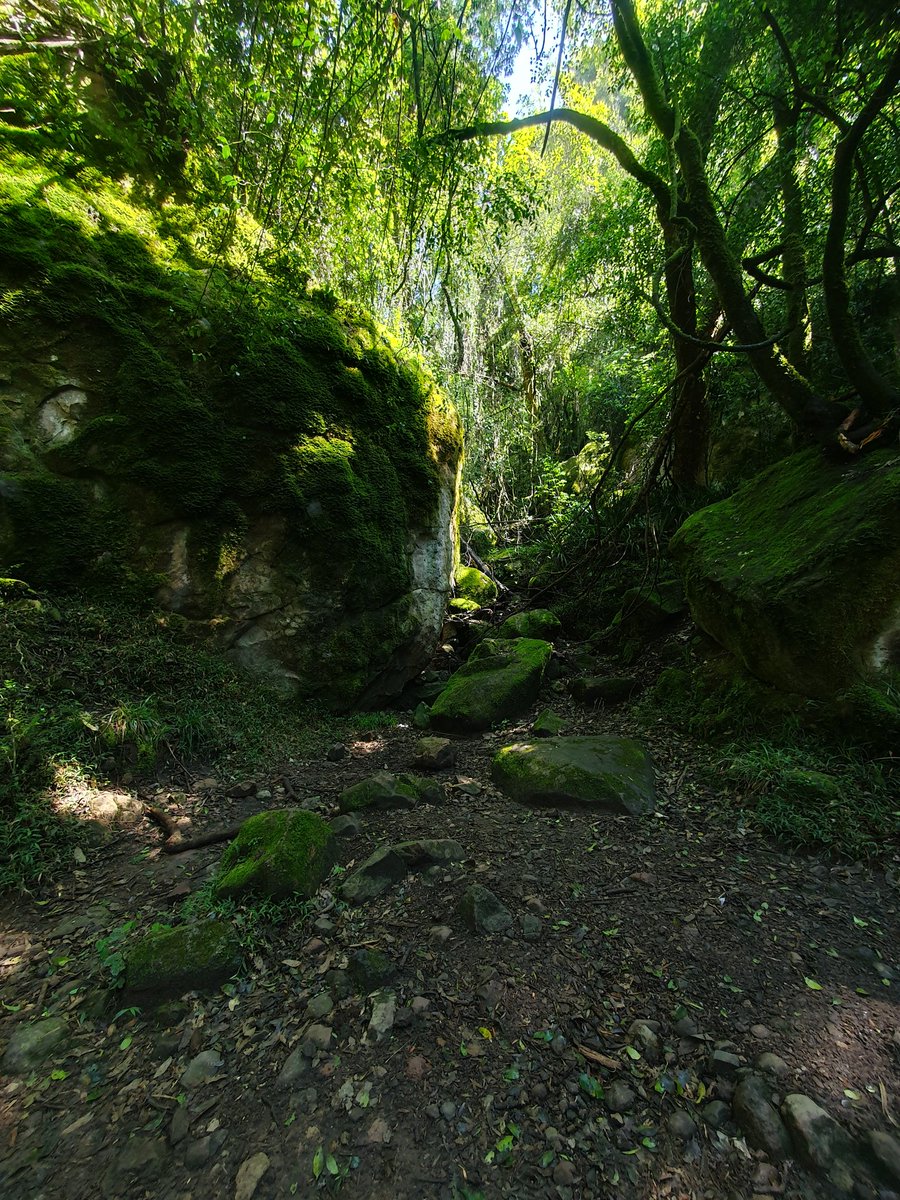 FloofyMoogle's tweet photo. Mother Nature is the best designer. 🍃⛰️ https://t.co/ntkhJxPG8D