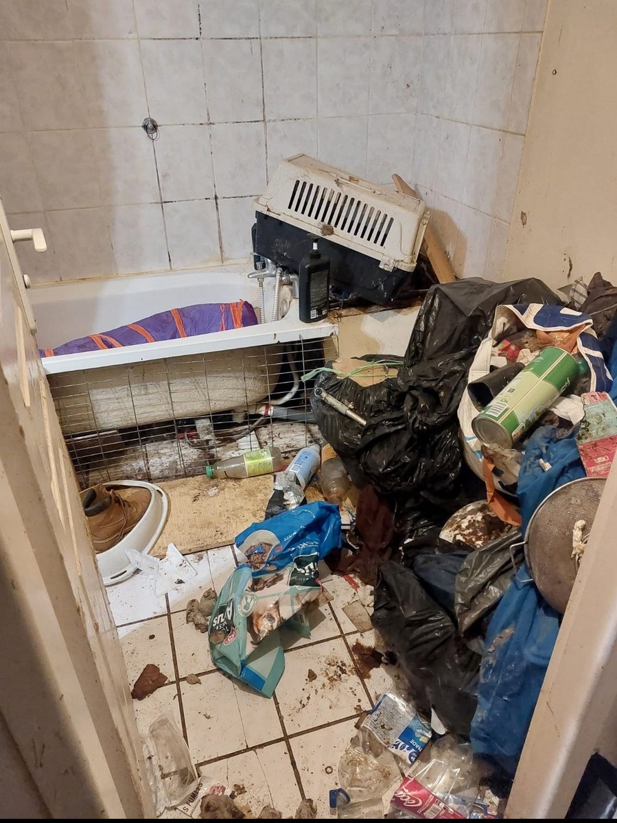 Stan_Vignon's tweet photo. #CPVA Nous essayons ce matin d'aider Mourad qui a retrouvé son appartement complètement saccagé par sa locataire, avec des animaux abandonnés à l'intérieur... @courbet_julien @RTLFrance https://t.co/GeFRNXSR6C
