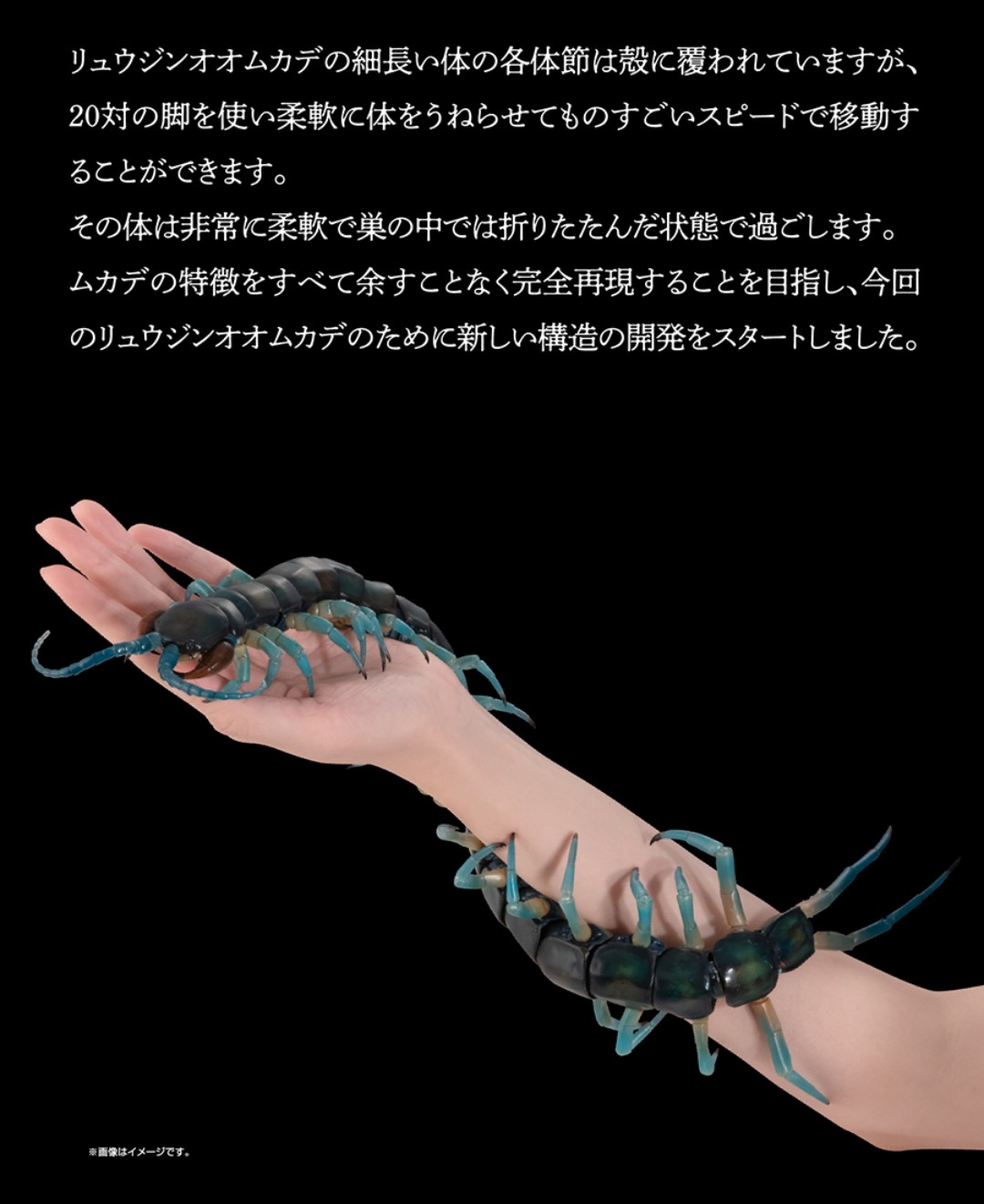 ぷれでたー（一番くじ.ガチャ.おもちゃ系情報