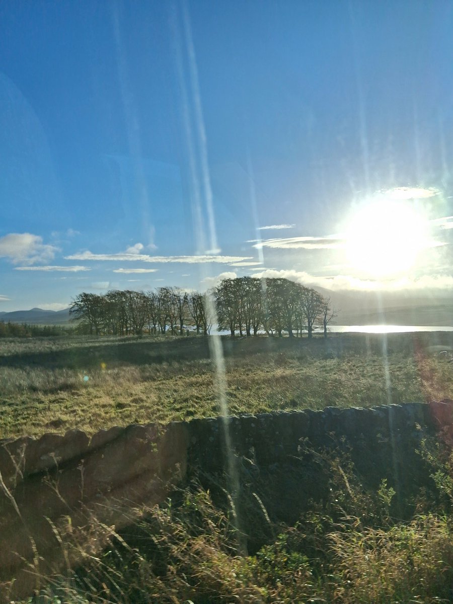 My country 💙🏴󠁧󠁢󠁳󠁣󠁴󠁿💙