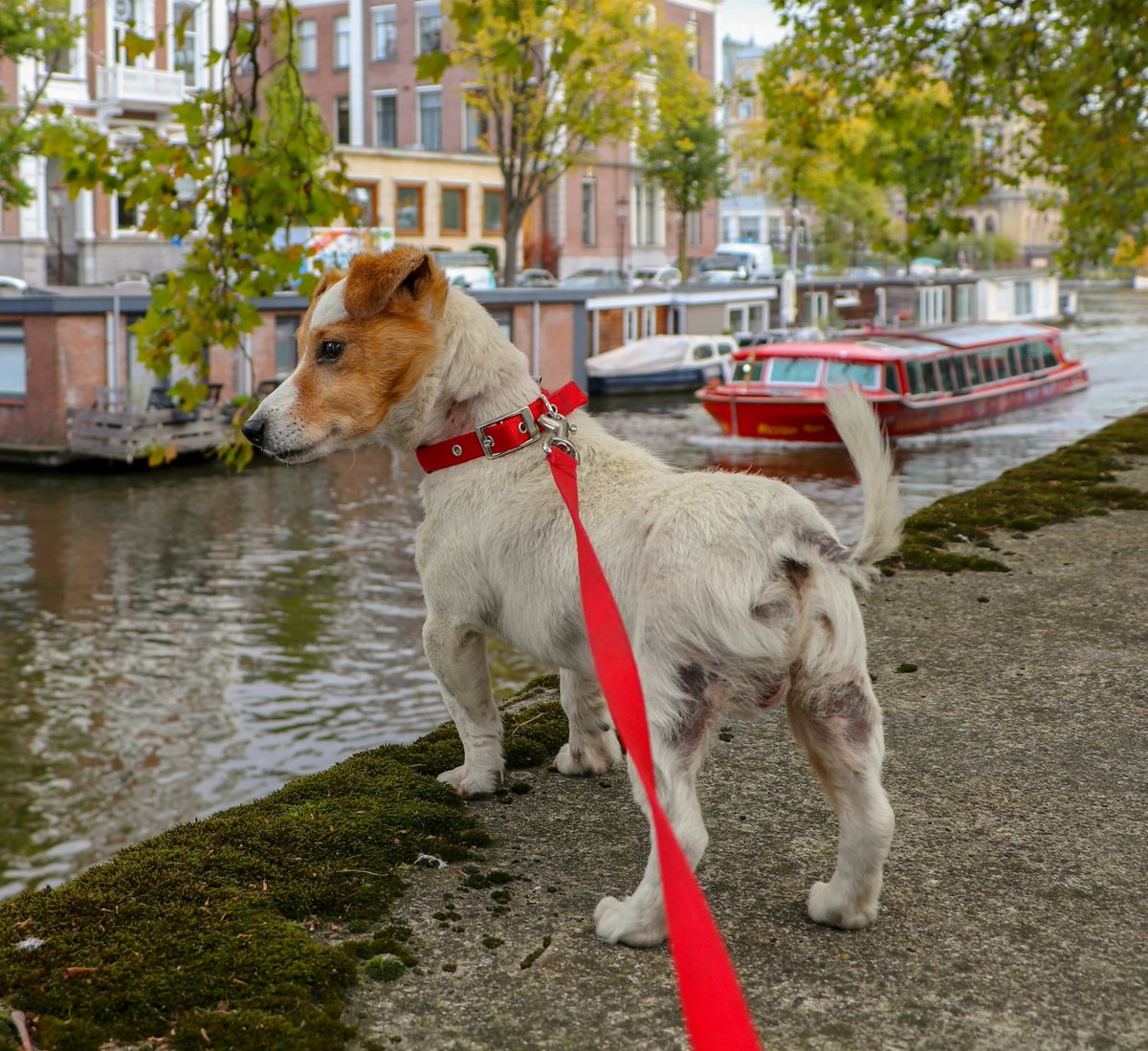 AccelerateAssociates tweet media