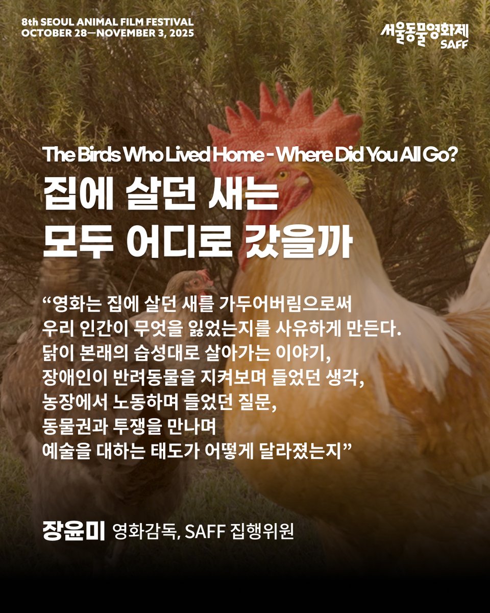 이름없는 새 영화 | TikTok, image size:960x1200