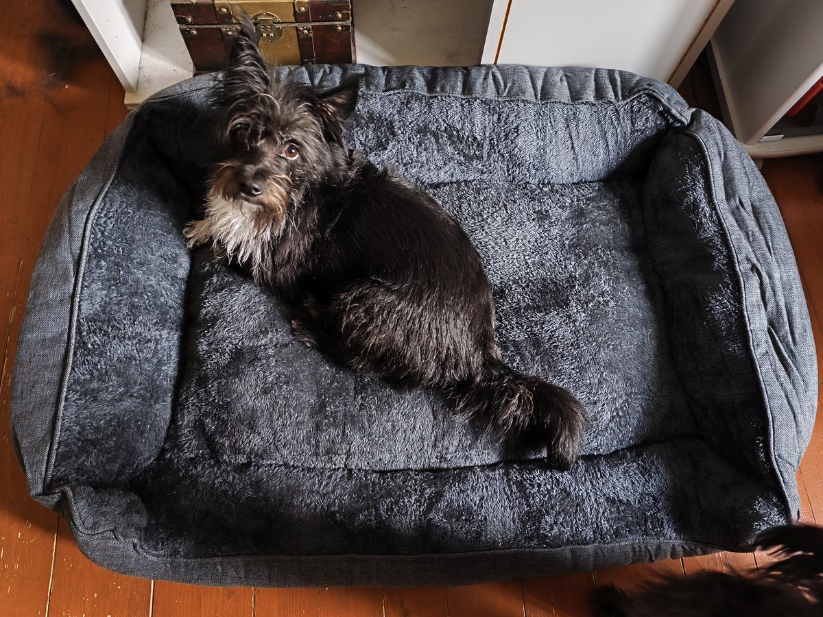 Neues RIESENKÖRBCHEN!
(und Fibi darf nicht rein. Gnihihi)