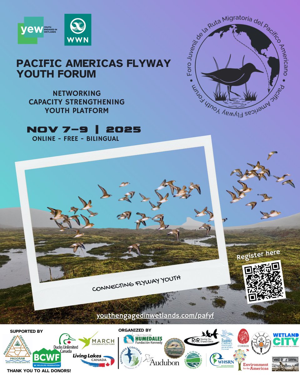 RamsarConv's tweet image. 🌎 Registration is now open for the Pacific Americas Flyway Youth Forum 2025!

November 7-9 | Online | English &amp;amp; Spanish | Free!

Learn more: youthengagedinwetlands.com/pafyf

Apply now to secure your spot: forms.gle/iTTfAwrY8Panaz…

#WetlandsWednesday