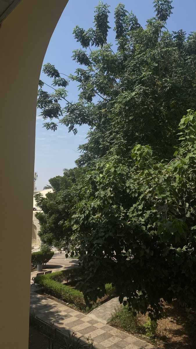 بِيش 🌿 tweet media