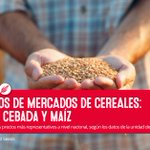 Photo by LG Seeds España (@LGSeedsES)